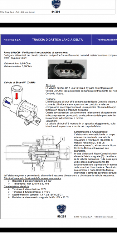 Screenshot_20210403-141023_Visualizzatore_PDF_di_Google.png